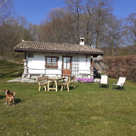 Baita Tana Da L'Ors Forgaria nel Friuli Zewnętrze zdjęcie
