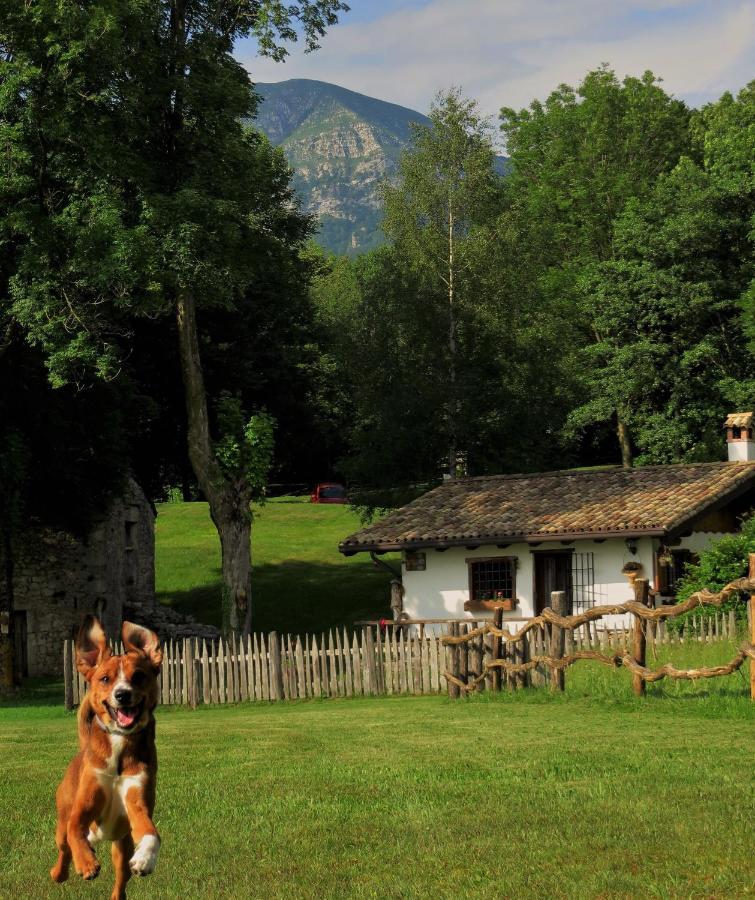 Baita Tana Da L'Ors Forgaria nel Friuli Zewnętrze zdjęcie