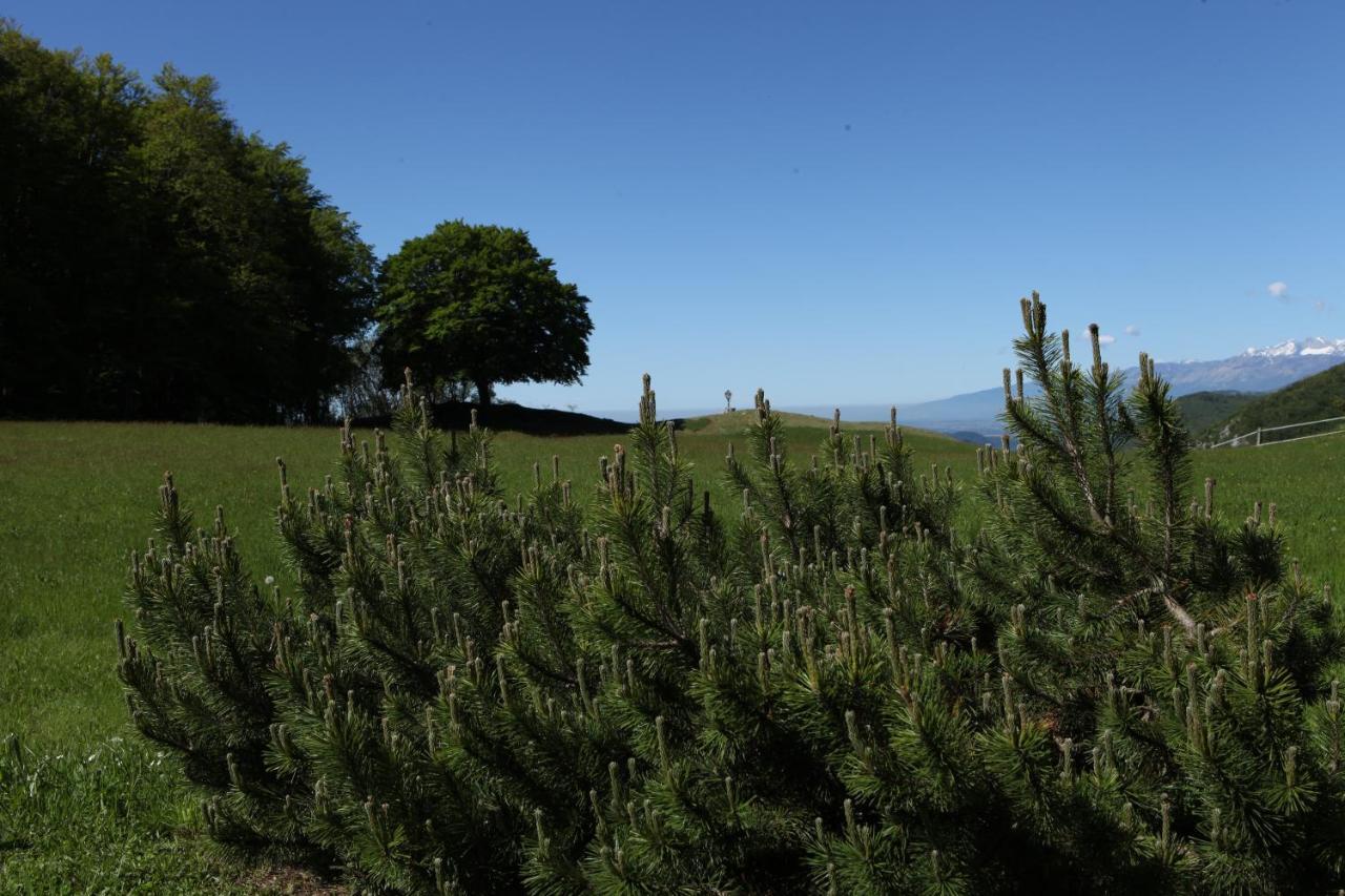 Baita Tana Da L'Ors Forgaria nel Friuli Zewnętrze zdjęcie