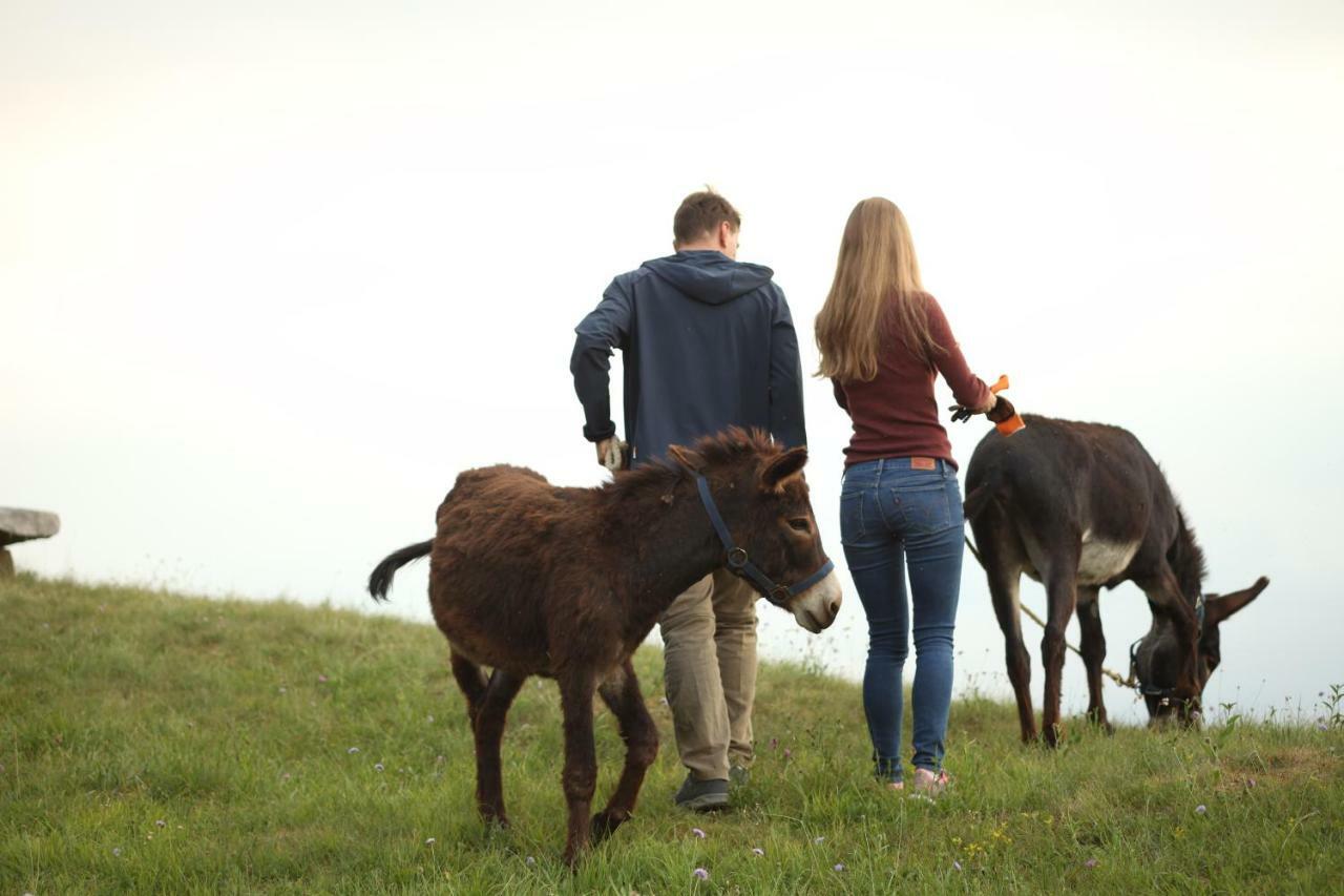 Baita Tana Da L'Ors Forgaria nel Friuli Zewnętrze zdjęcie