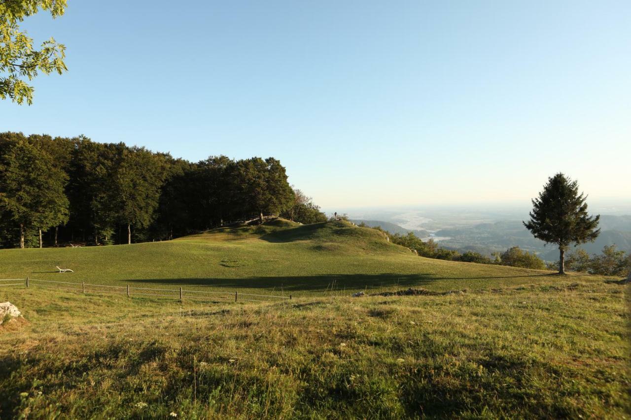 Baita Tana Da L'Ors Forgaria nel Friuli Zewnętrze zdjęcie